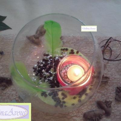Cam05934